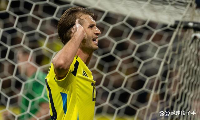 瑞典国脚展现实力,备战国际友谊赛 瑞典国脚展现实力,备战国际友谊赛