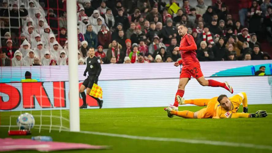 霍芬海姆球员发誓拼尽全力取胜 霍芬海姆球员发誓拼尽全力取胜