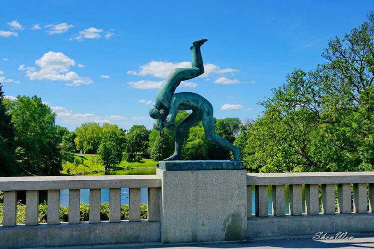 挪威球员身体不适后顾之忧频频询问的简单介绍